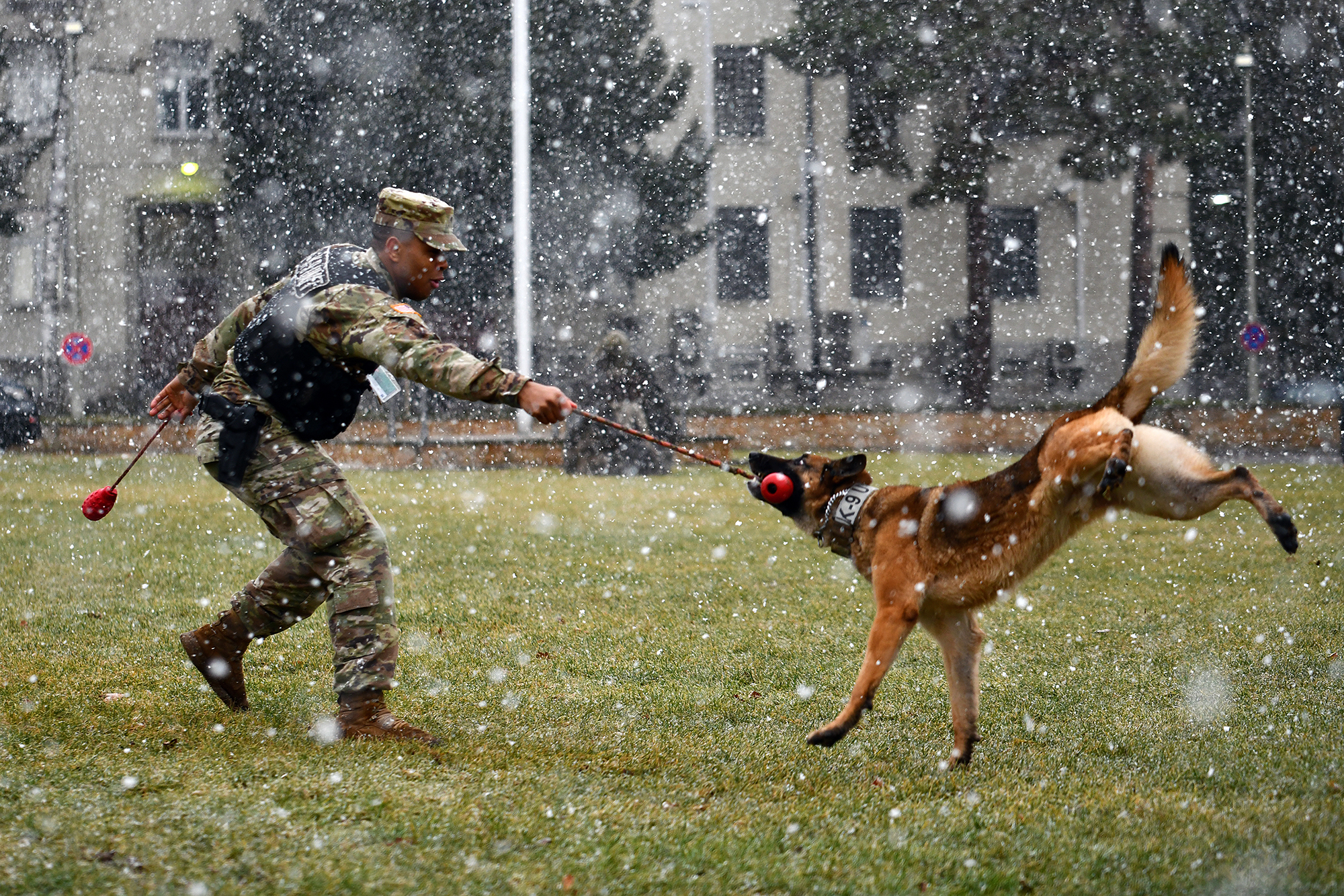Army Spc. Jermaine Lewis and Astor, a military working dog, conduct off-leash obedience drills Jan. 28, 2020, on Panzer Kaserne, Boeblingen, Germany, Jan. 28, 2020. (Jason Johnston/Army)