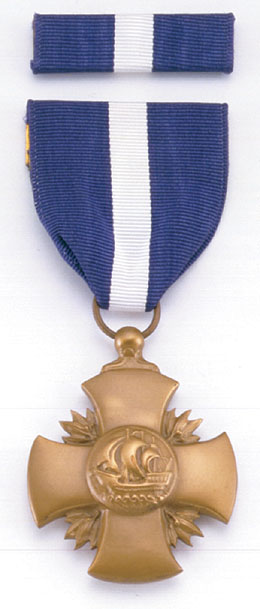 Navy SEALs' secret medals reveal heroism over last 15 years