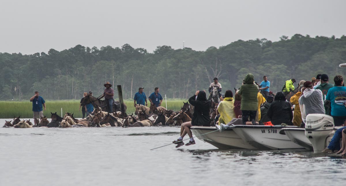 With the Coasties of Chincoteague — boats, ponies and lots of rain