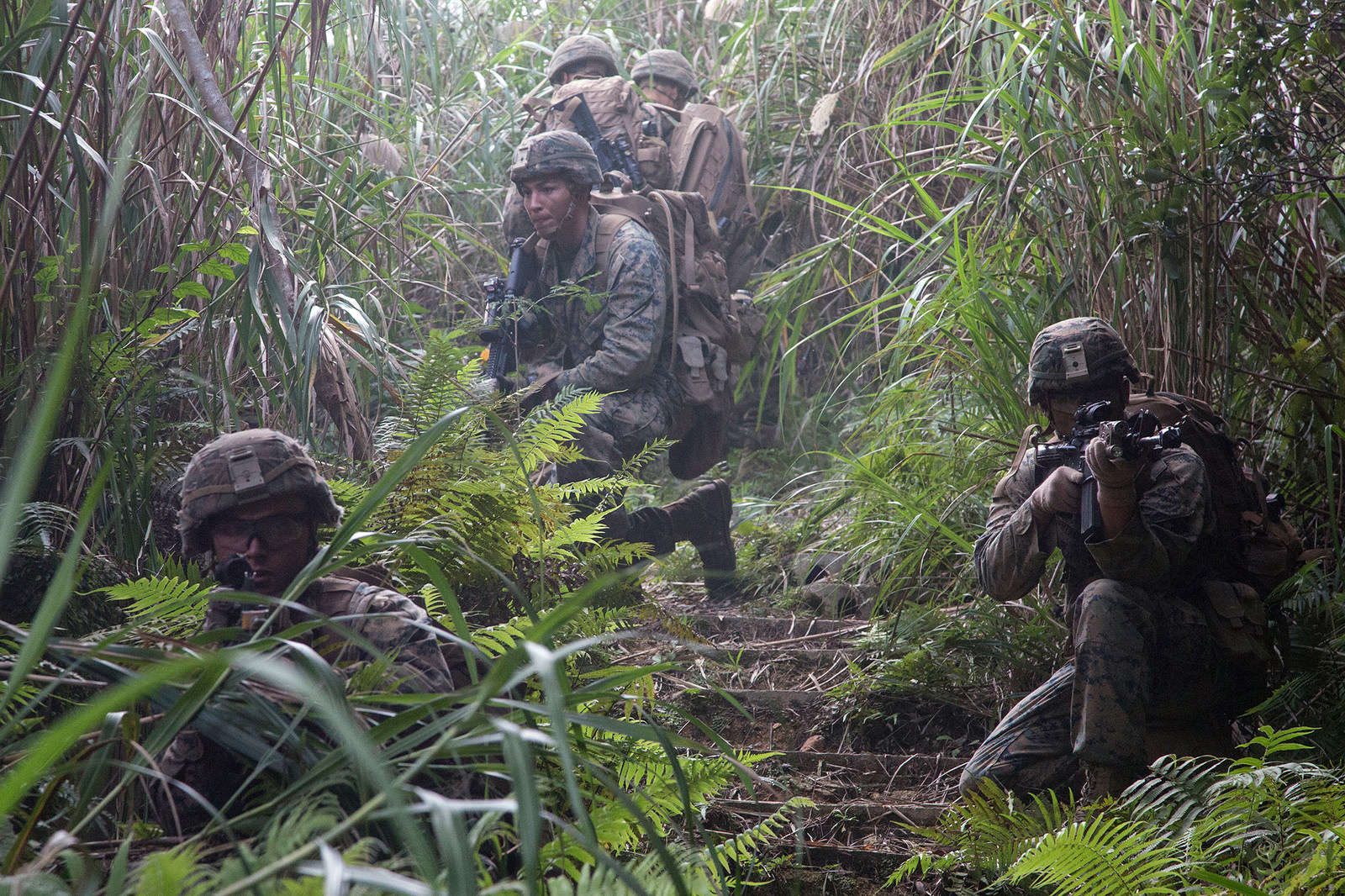 Marines provide security after conducting simulated village raids at the Jungle Warfare Training Center in Okinawa. Japan, on Dec. 6, 2017, during the 3rd Marine Division Annual Squad Competition. (Cpl. Carl King/Marine Corps)