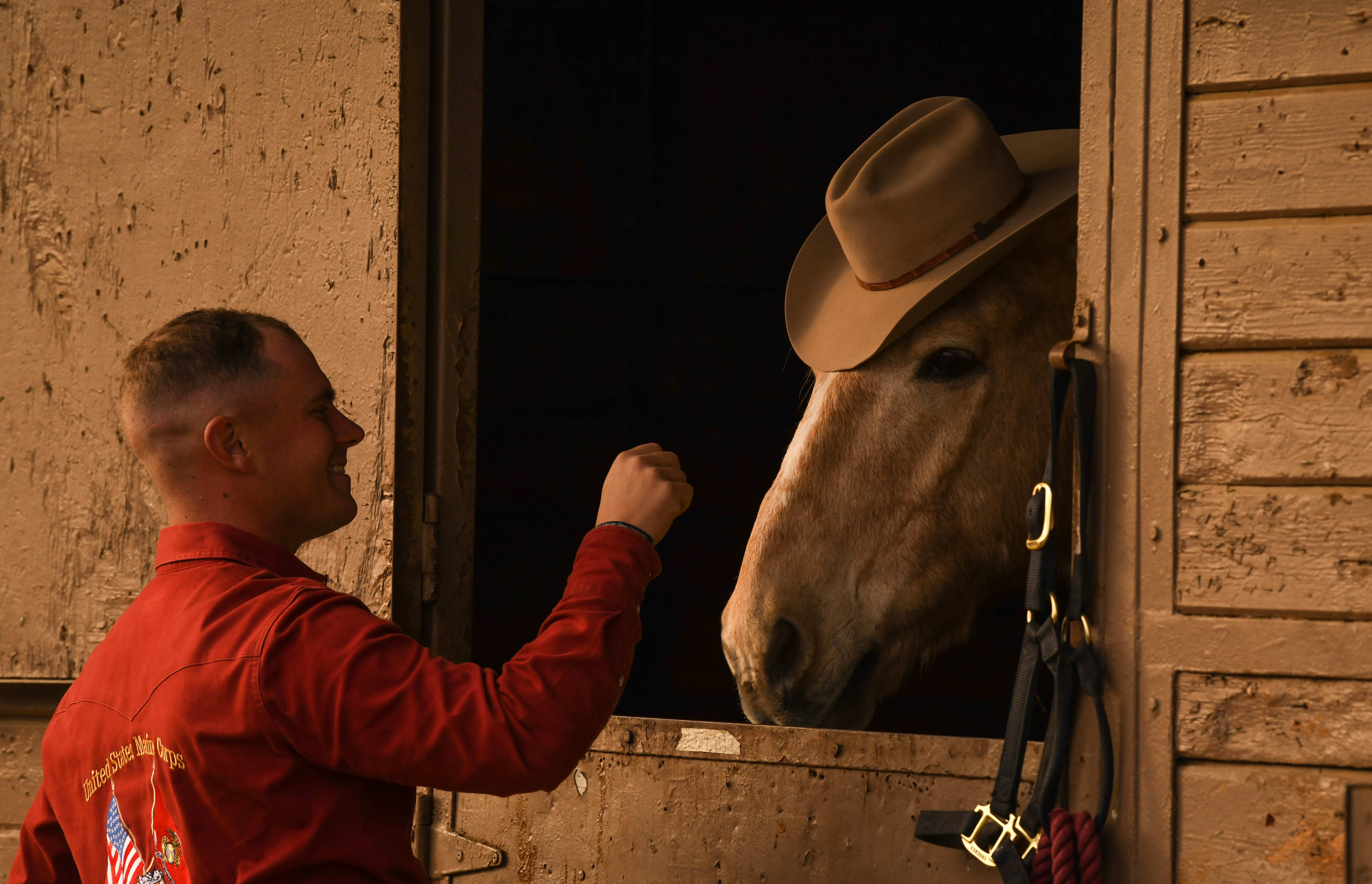 Spectators gather around Sgt. Tim Wolfbrandt and his horse during Equestfest in Burbank, Calif., Dec. 29, 2019. Wolfbrandt is a stableman with the mounted Color Guard stationed in Marine Corps Base Barstow, Calif. (Lance Cpl. Fernando Moreno/Marine Corps)