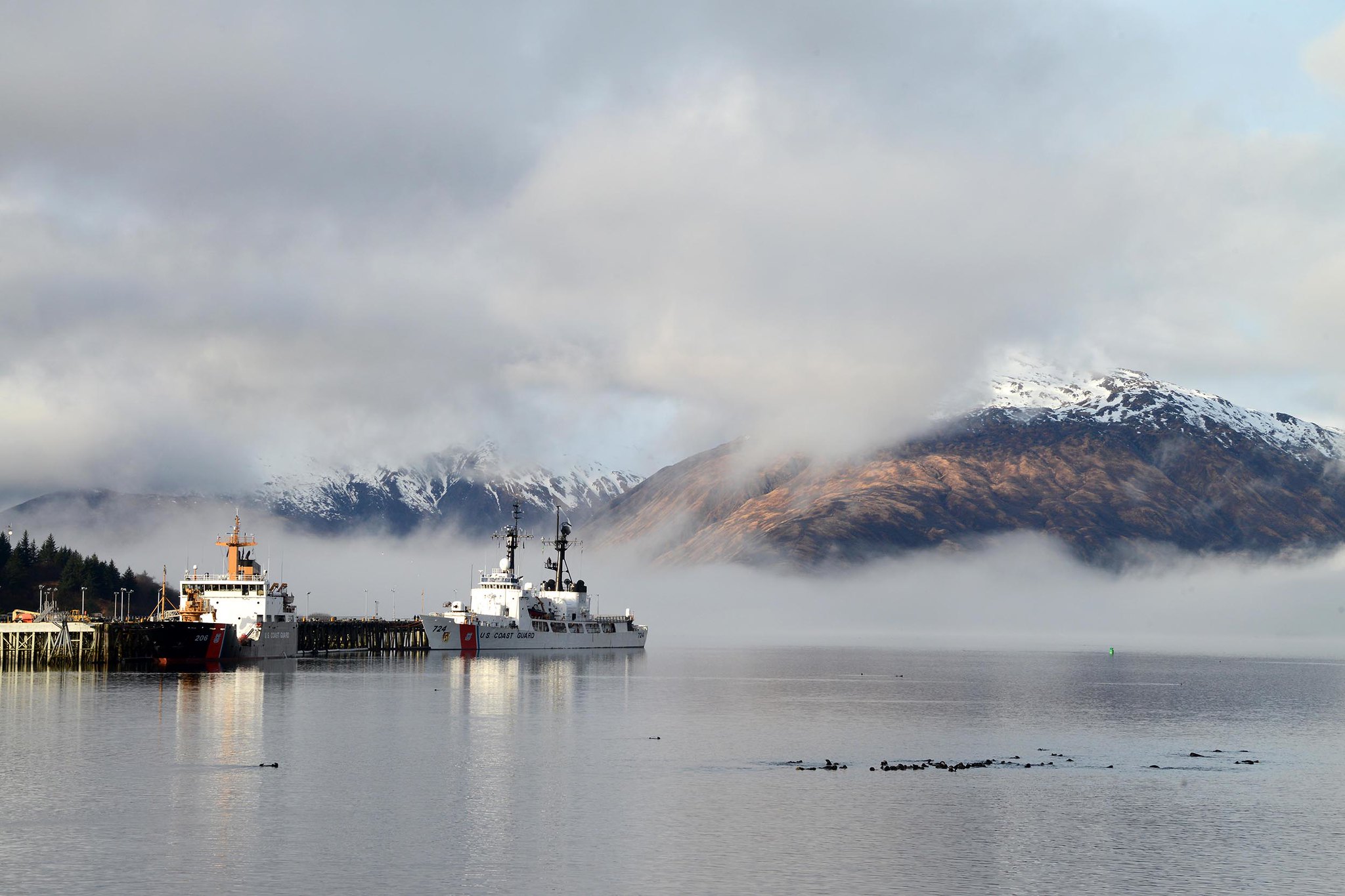 The Coast Guard Cutters SPAR (WLB 206) and Douglas Munro (WHEC 724) are moored at home port while a raft of otters gather in Womens Bay, in Kodiak, Alaska, May 1, 2019. (Chief Petty Officer Charly Hengen/Coast Guard0