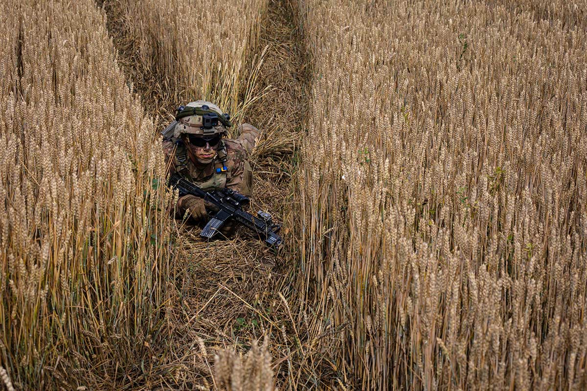 An infantryman conceals himself in a wheatfield during an air assault mission at Bordusani, Romania, at Saber Guardian 19, June 20, 2019. (Sgt. Thomas Mort/Army)
