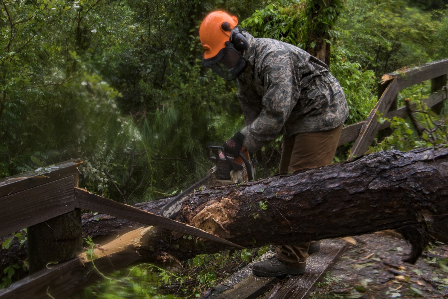Senior Airman Justin Benito, 23rd Civil Engineer Squadron heavy equipment operator, uses a chainsaw to cut a fallen tree’s trunk on Sept. 11, 2017, at Moody Air Force Base, Ga. Moody’s ride-out team consisted of approximately 80 airmen who were tasked with immediately responding to mission-inhibiting damage caused by Hurricane Irma. (Airman 1st Class Daniel Snider/Air Force)